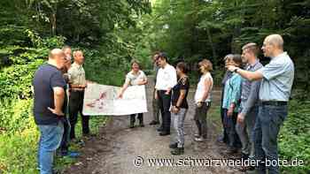 Klimawandel in Bad Liebenzell: Bäume werden nicht mehr so alt wie früher