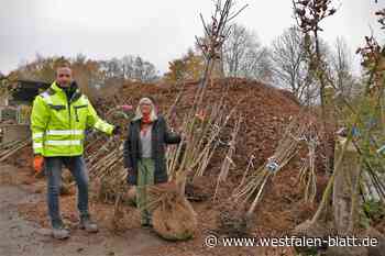 Private Baumpflanzungen sollen Bünde beleben