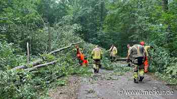 Orkan vernichtet 5000 Kubikmeter Holz im Landkreis Dachau