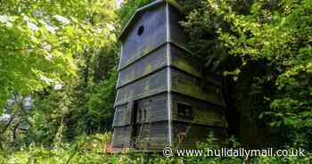 You can buzz off this summer to a staycation in a wooden beehive