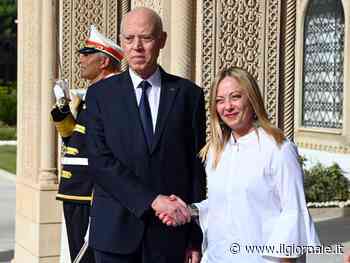 La lezione di Saied alle Ong: "Sui migranti solo fake news"