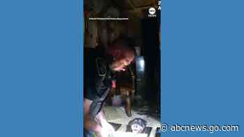 WATCH:  Officers rescue dog stuck underneath shed