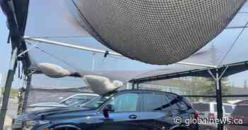 ‘Devastating’ Calgary hail storm damages homes, cars and gardens