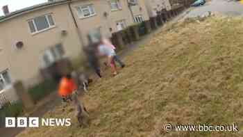 Footage of Coventry Tasered dog attack released by police