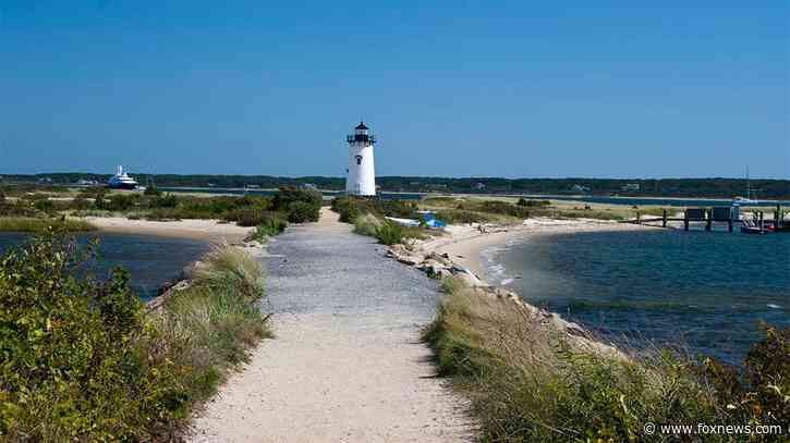 Small plane crash-lands on Martha's Vineyard after pilot passes out, passenger takes control