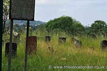State of ‘overgrown’ and ‘littered’ Plumstead Cemetery slammed