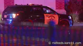 Police: Pedestrian killed early Sunday morning in Forest Lake