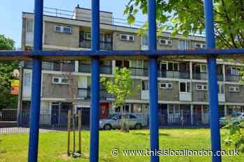 Public gardens to be created around Lewisham estate under £70k plans