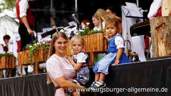 50 Jahre Musikverein: Steinheim feiert im großen Stil