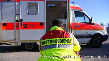 Unfall: Stier verletzt zwei Männer