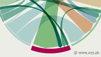 Das grosse Abwerben: Wie sich die Schweiz und andere Länder die Ärzte streitig machen