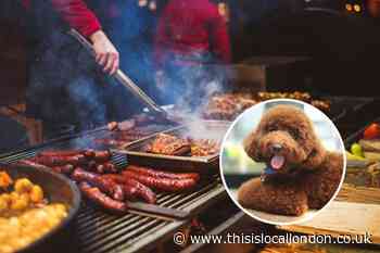 Yorkshire Vet warns BBQ meat could be life threatening to dogs
