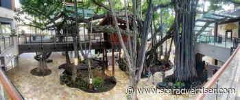 International Market Place releases historical audio tour