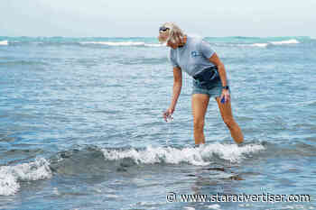 Hawaii cesspools exist in wealthy  as well as rural neighborhoods