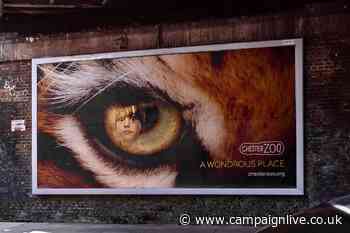 Chester Zoo takes child's eye view in 'A wondrous place' TV spot