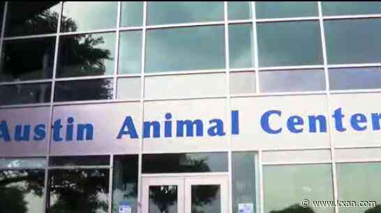 Austin Animal Center extends pilot program, sees some success with new adoption times