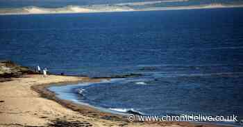 New Northumberland entry onto The Times list of best beaches in the UK