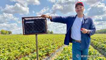 Warum Karls seine Erdbeeren in Rövershagen mit Musik beschallt