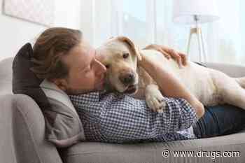 Pets Don't Help Those With Severe Mental Illness Fare Better