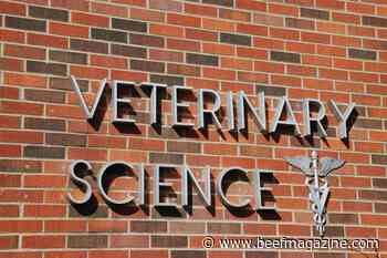 FFAR awards fifth cohort of Vet Fellows