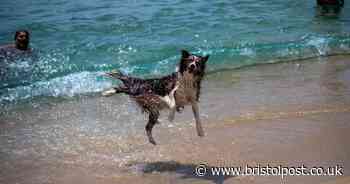 UK weeks away from heatwave as rest of Europe melts in tropical weather