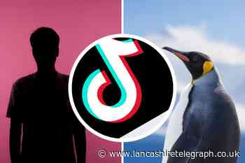TikTok sixth sense optical illusion: How to try it yourself