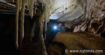 A Fossil Dream as Big as Texas