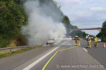 Feuer auf A 44 bei Warburg: Auto brennt aus