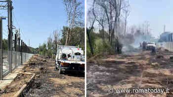 Parco del Pineto lambito da un incendio. Sterpaglie a fuoco: rogo domato in 30 minuti