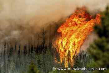 100,000 square kilometres burn in record-breaking Canadian wildfire season