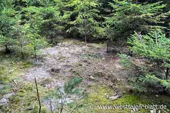 Weibliche Leiche in Halle: Ist es die vermisste Marion S.?