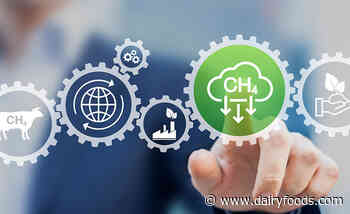 Dairy processors make great sustainability strides