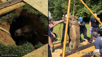 Firefighters free donkey trapped inside sinkhole in Granville County