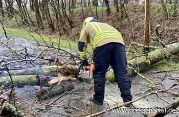 FW Alpen: Baum auf Fahrbahn