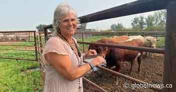 Alberta woman who delivers calves secures ‘Last of Us’ Emmy nomination for hairstyling