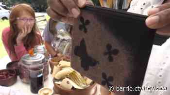 Oro-Medonte's kids' sewing camp teaches STEM skills