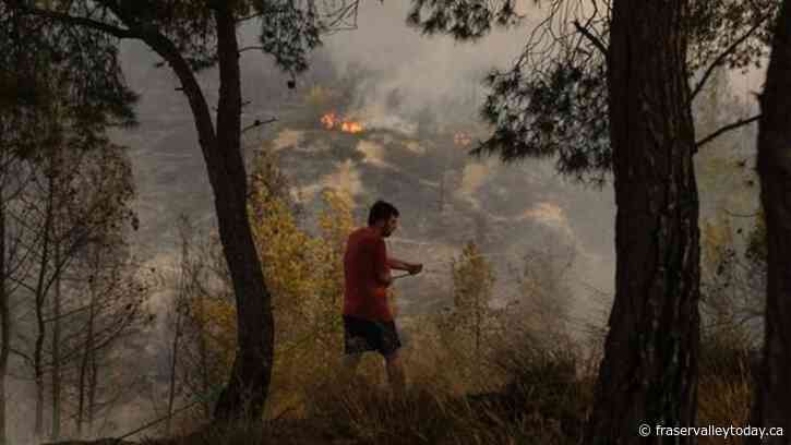 After heat wave, wildfires force thousands to flee seaside resorts outside Greek capital