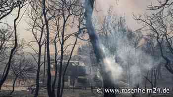 Hitze und längere Trockenheit: Waldbrände in Griechenland