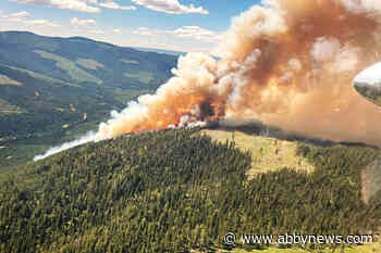 Wildfire near Adams Lake at 265 hectares, three new fires discovered