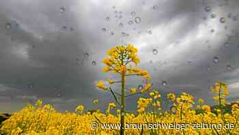 Braunschweig-Wolfsburg: Unwetter am Abend erwartet