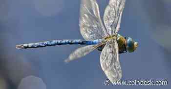 Dragonfly, Arthur Hayes Back $6M Round for New Stablecoin, Ethena