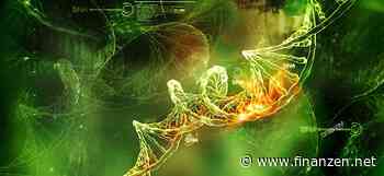 NASDAQ-Wert BridgeBio Pharma-Aktie +76 Prozent: Ergebnisse der Phase-3-Studie ATTRibute-CM von BridgeBio Pharma überzeugen