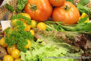 Gen Z in Canada spends the most on food – and wastes the most – says survey