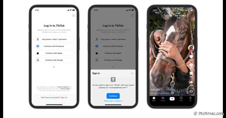 TikTok for iPhone will soon let you forget your account password