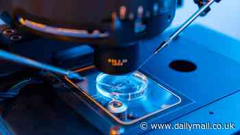 California biotech startup aims to make lab-grown BABIES and believes it 'will change society as we know it'