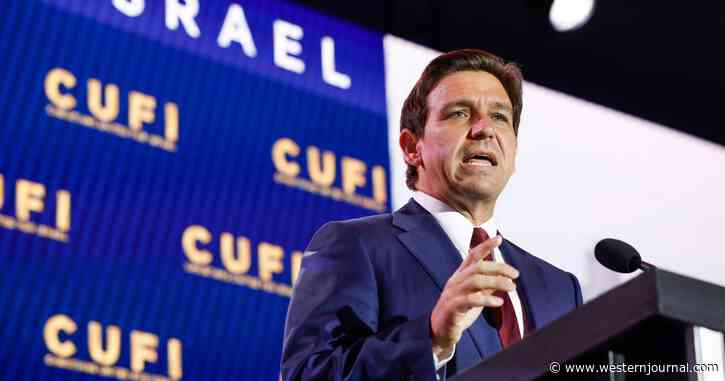 Top Player from Bush Administration Weighs in on DeSantis' Big Flaw: 'You Can't Fix That'