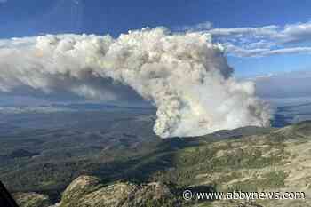 First troops in B.C. for wildfire fight, as helicopters, Hercules readied