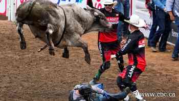 'Fantastic year': Calgary Stampede attendance just short of all-time record
