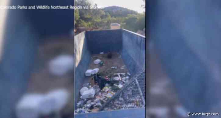 VIDEO: Colorado bear stuck in dumpster