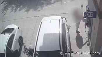 Video shows suspect stealing woman's purse while she pumps gas at Miramar station
